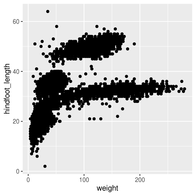 Hind foot length versus weight